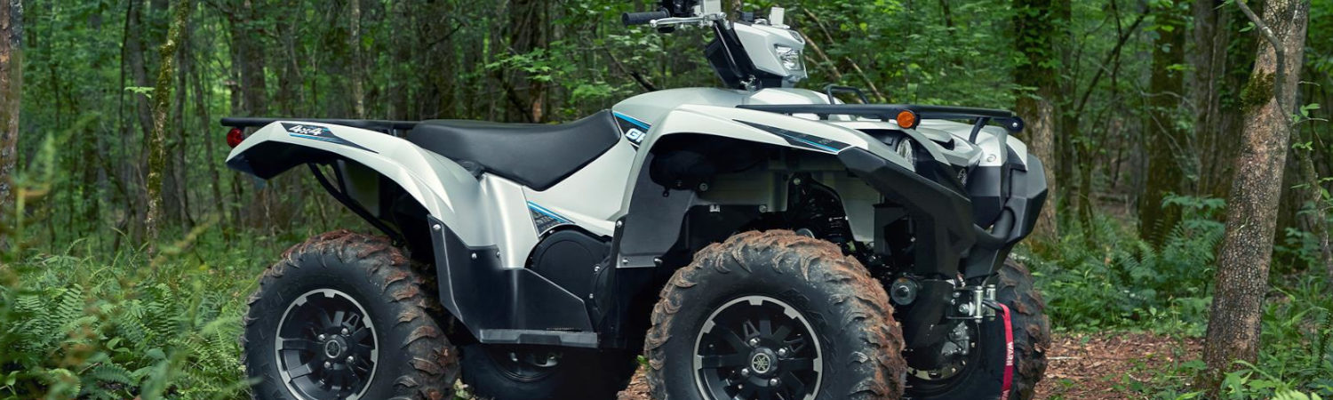 2020 Yamaha Grizzly 700 for sale in Cool Springs PowerSports, Franklin, Tennessee